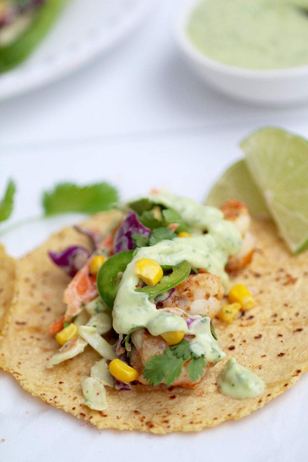 shrimp tacos_drizzle_vertical_1 Nourish, Move, Love