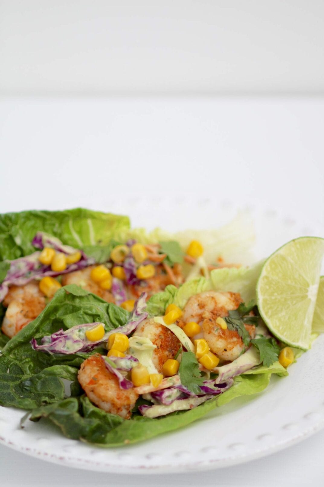shrimp tacos_lettuce wrap_vertical_1 Nourish, Move, Love
