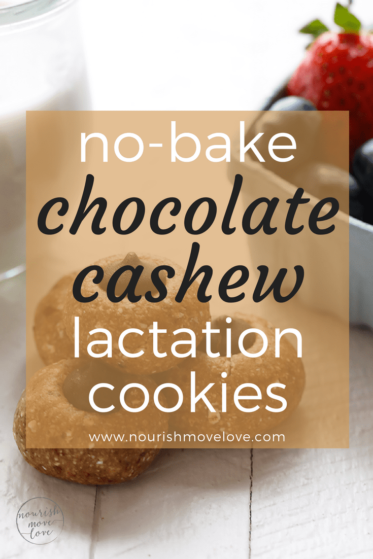  no-bake chocolate cashew lactation cookies | www.nourishmovelove.com