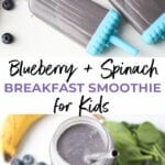 Blueberry and Spinach Breakfast Smoothie for Kids