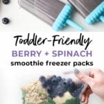 Toddler Spinach and Blueberry Smoothie Packs