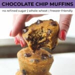 Chocolate Chip Muffins | Sweet Potato Muffins