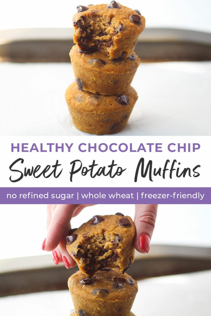 chocolate chip sweet potato muffins