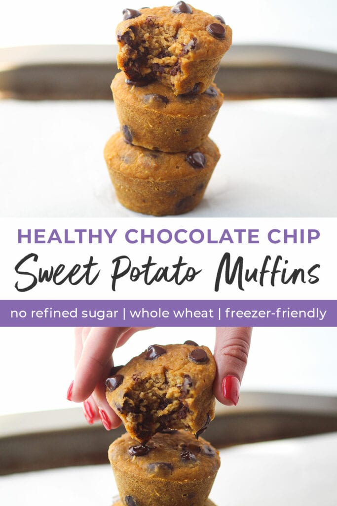 chocolate chip sweet potato muffins