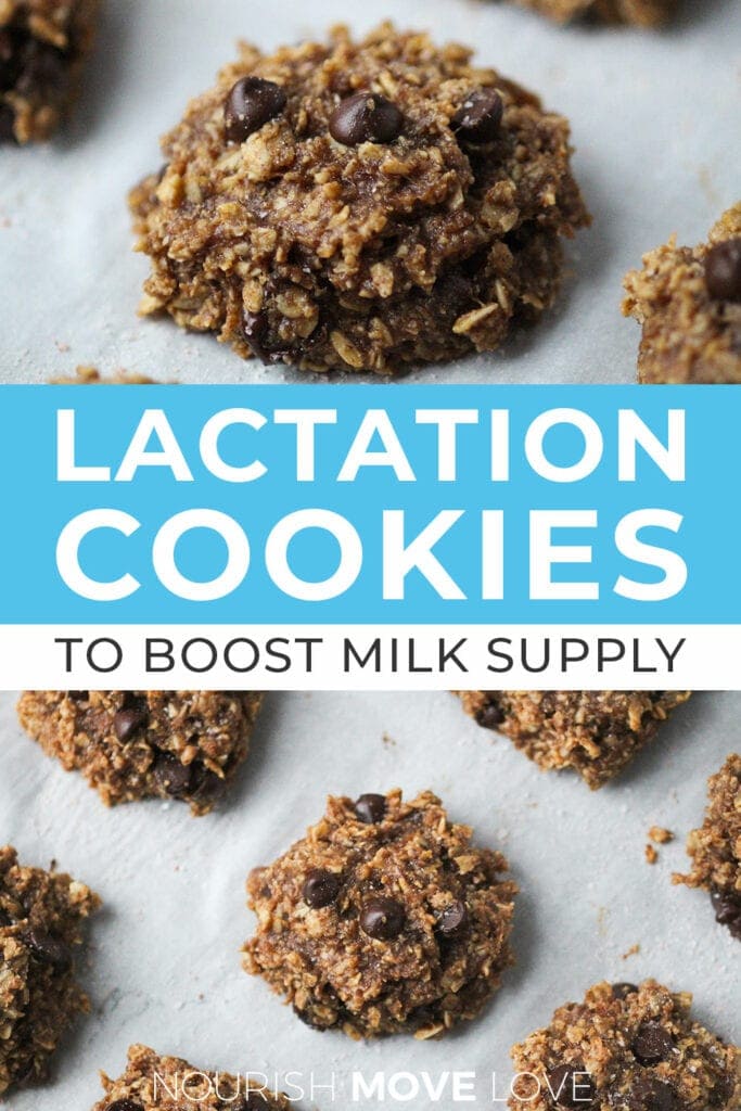 lactation cookies to boost milk supply 