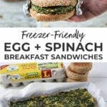 Egg Sandwiches