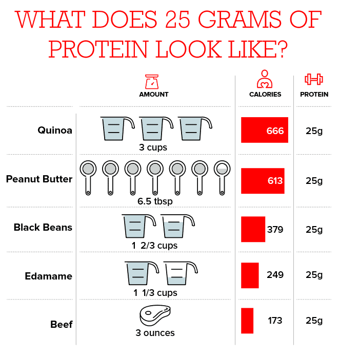 What does 25 grams of protein look like?