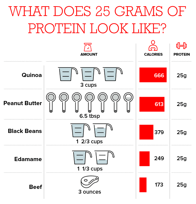 what does 25 grams of protein look like?