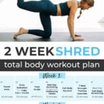 14 Day Challenge workout plan pin for pinterest