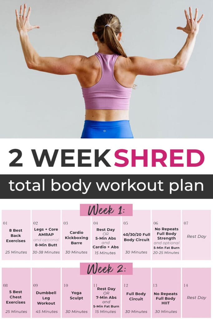 2 week full body workout challenge at home