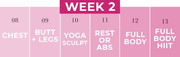 2 week shred workout challenge week two