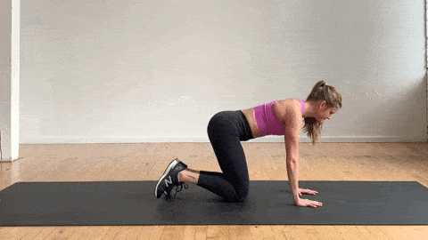 High Plank Pose best ab exercises for women