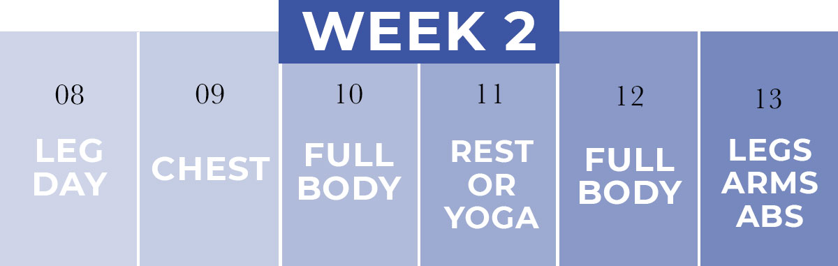 At Home Workouts for Beginners | Week 2