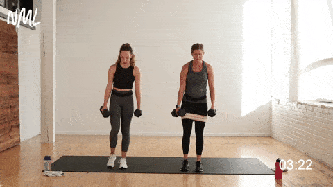 two women performing a reverse lunge in a leg workout at home