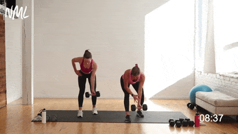 two women performing single arm reverse grip rows as part of a back and bicep workout at home