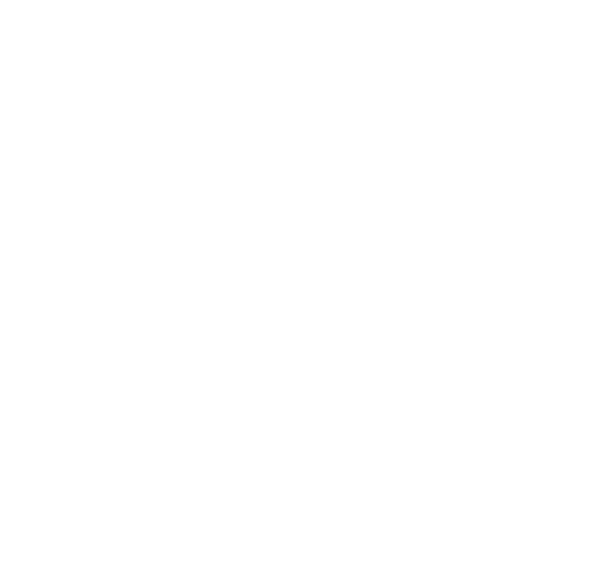 nml youtube icon