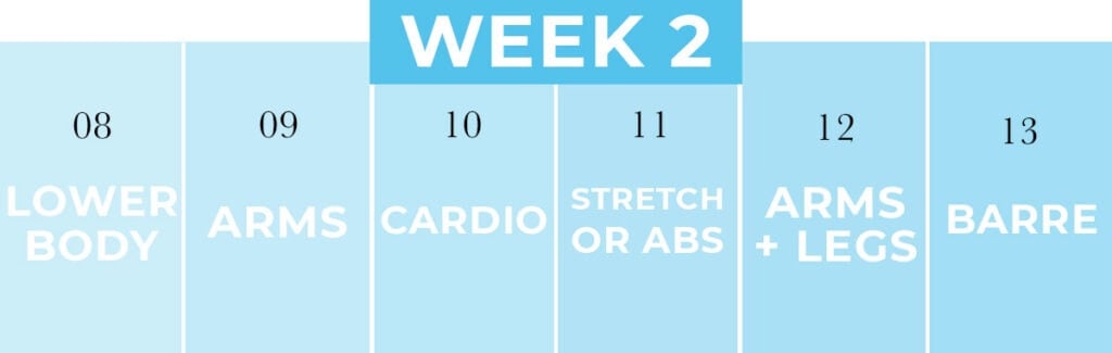 Week 1 of Second Trimester Workout Program