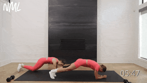 two women performing low plank knee pulls as example of oblique exercises