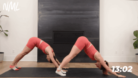 women flowing between a down dog and push up as part of beginner pilates workout