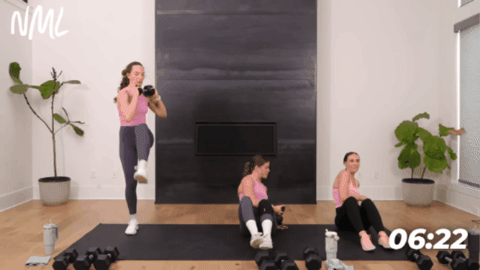example of seated twist with dumbbells