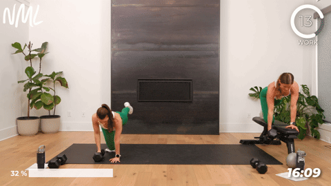 two women performing a bird dog back row in a core workout