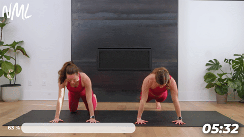 two women performing push ups in a mat pilates workout