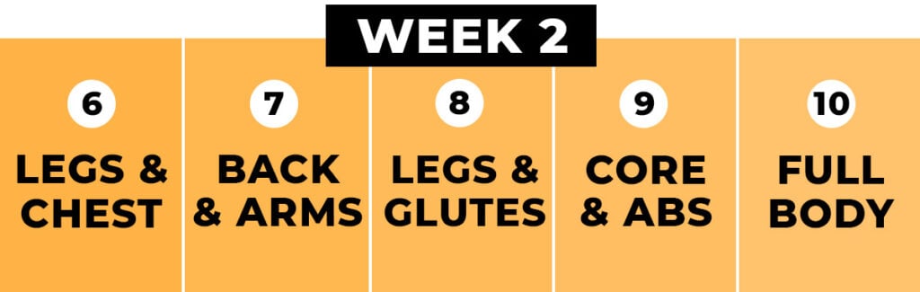 week 2 calendar graphic of functional training program Max 20